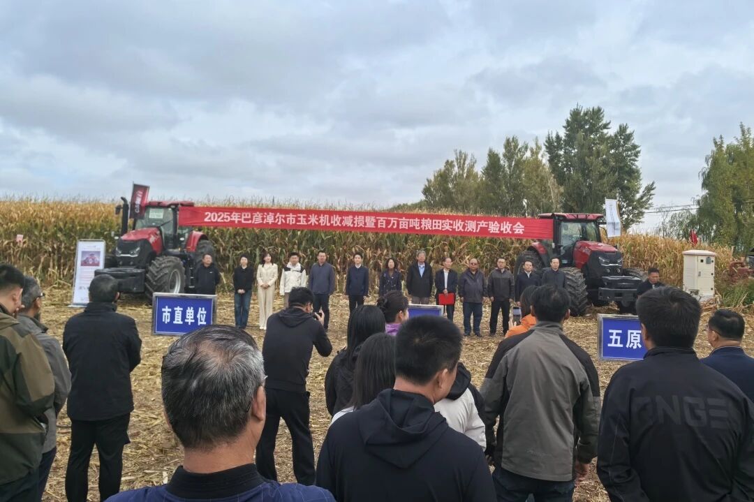 巴彥淖爾玉米單產(chǎn)創(chuàng)新高，凱斯Axial-Flow®?助力機收減損提質(zhì)效