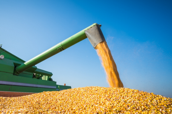 衡水農(nóng)機安全監(jiān)理所深入各縣市區(qū)檢查“三秋”農(nóng)機安全生產(chǎn)工作