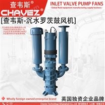 沉水式罗茨鼓风机 鲁式沉水风机 查韦斯