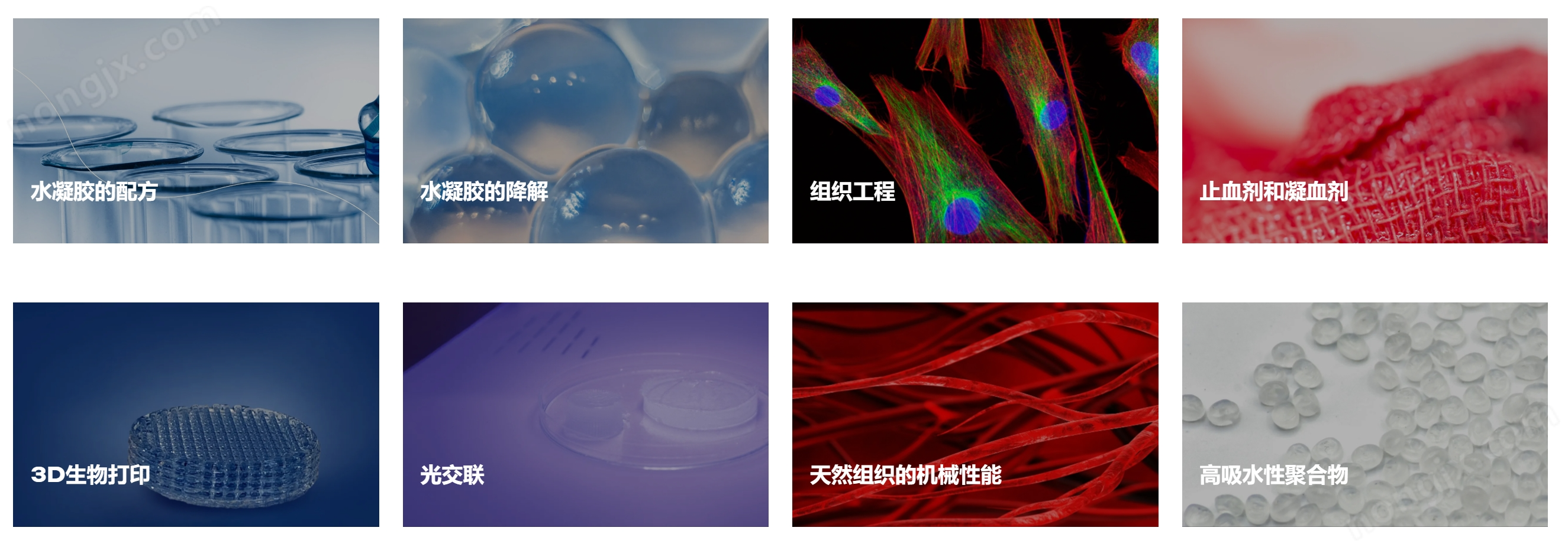 软物质粘弹性分析仪